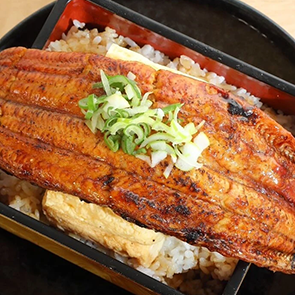 タイトルが入ります