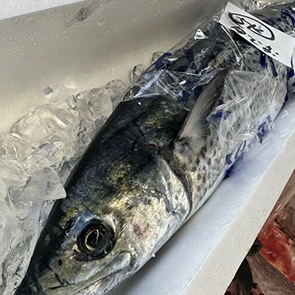 タイトルが入ります